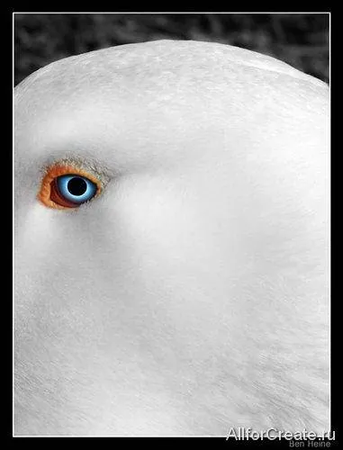 Ben-Heine-016