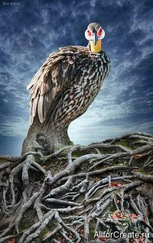 Ben-Heine-022