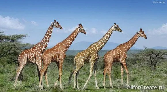 Ben-Heine-037