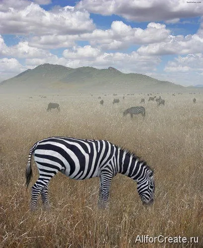 Ben-Heine-053