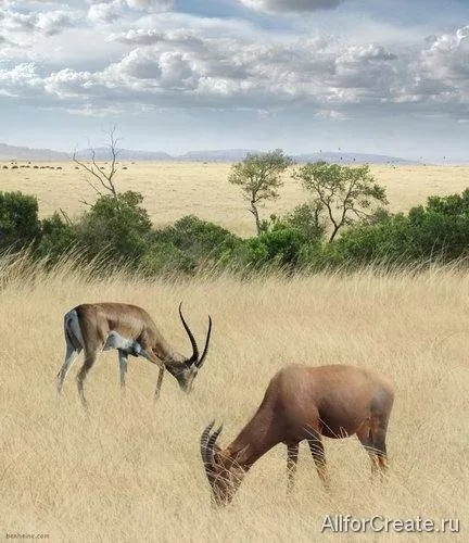 Ben-Heine-055