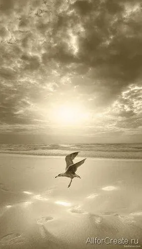 Ben-Heine-061