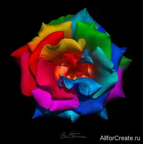 Ben-Heine-077