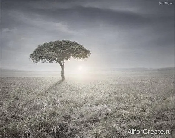 Ben Heine дерево в пустыне