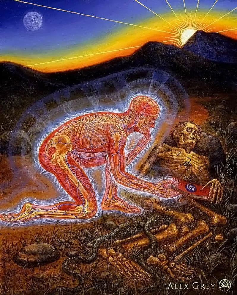 Alex Grey Samadhi