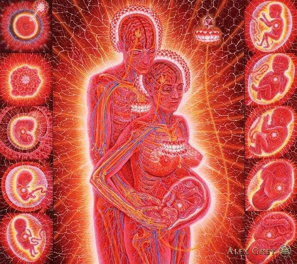 энергия беременности картина Alex Grey