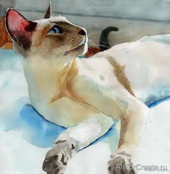 кошка смотрит вверх акварель