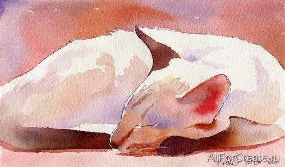кошка спит акварель