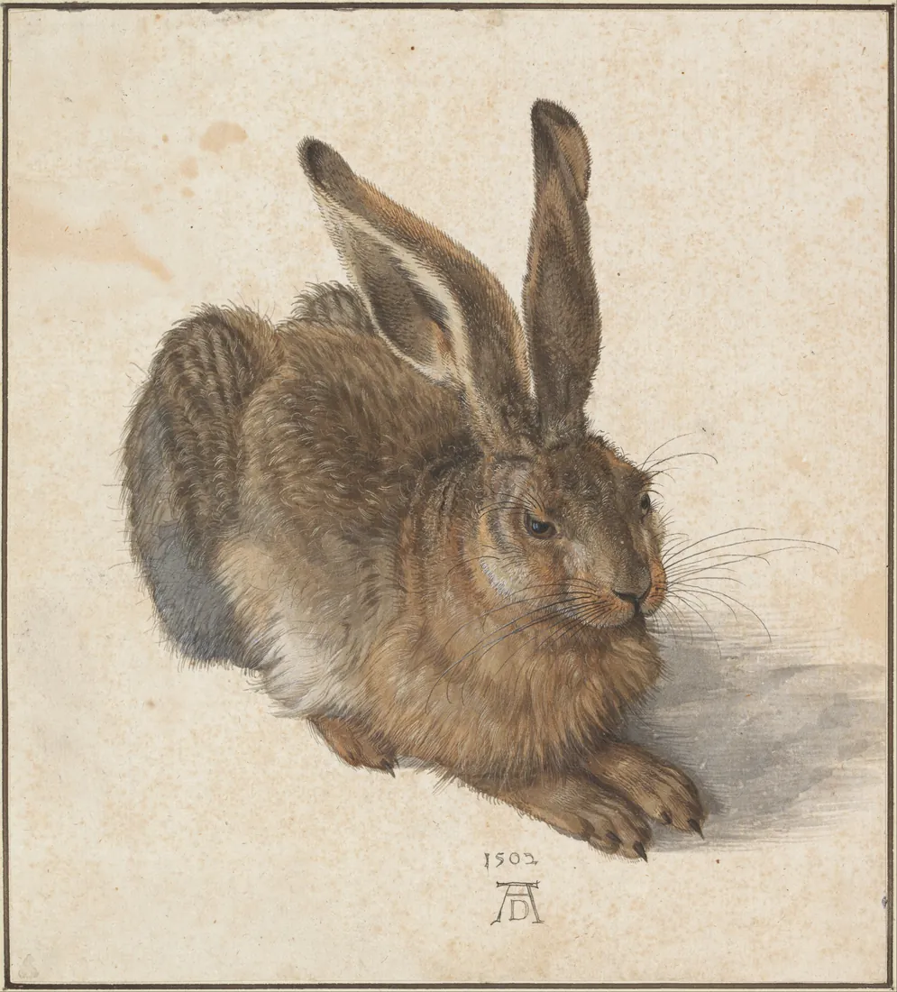 Albrecht Dürer · Feldhase Young Hare