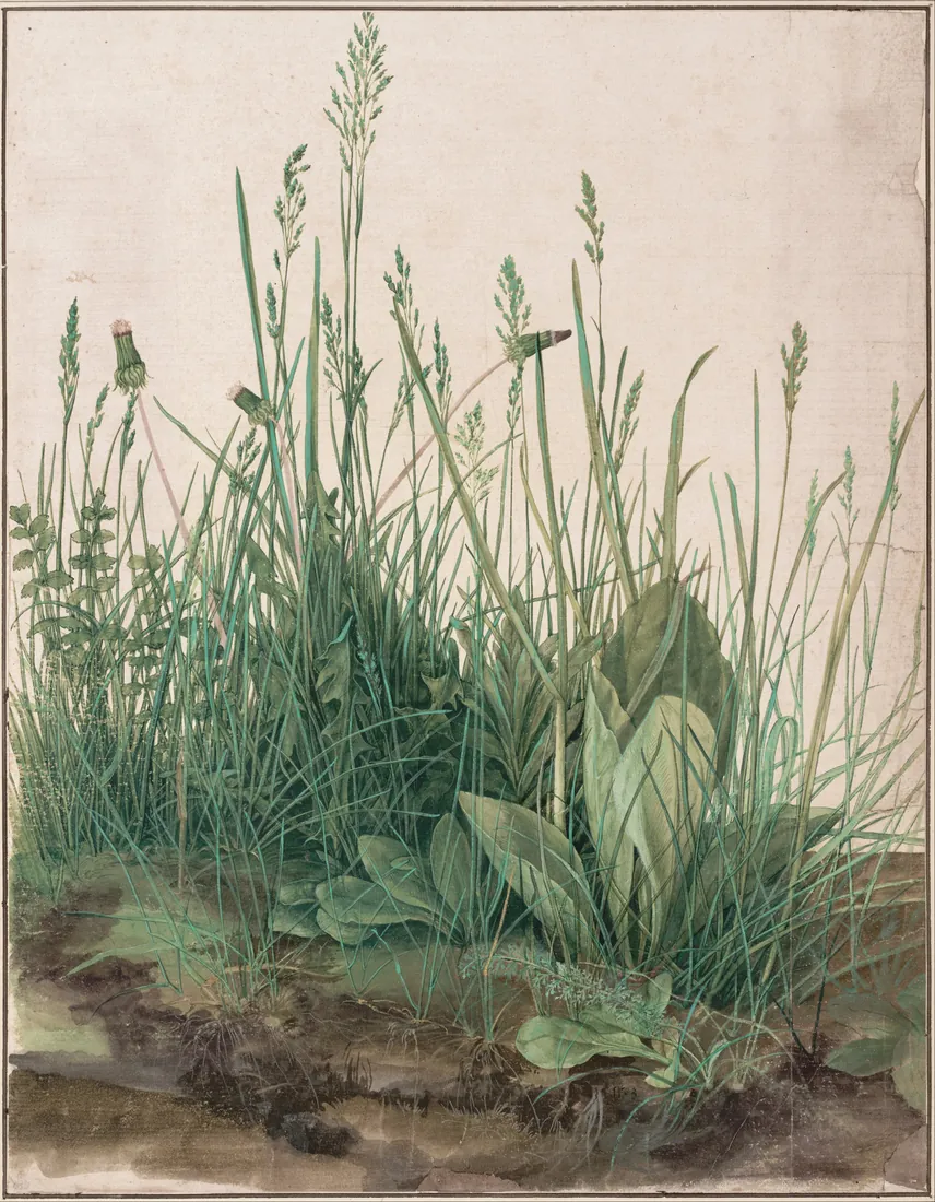 Albrecht Dürer · The Large Piece of Turf