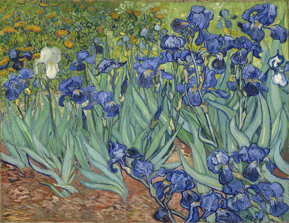 Vincent van Gogh · Irises