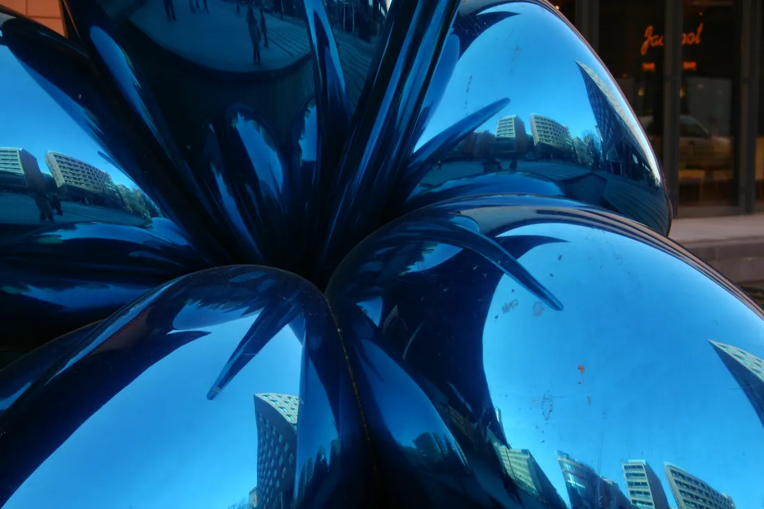 Markus from Berlin, Germany · Balloon Flower Detail